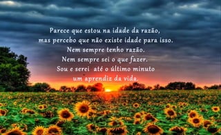 Parece que estou na idade da razão,
mas percebo que não existe idade para isso.
Nem sempre tenho razão.
Nem sempre sei o que fazer.
Sou e serei até o último minuto
um aprendiz da vida.
 