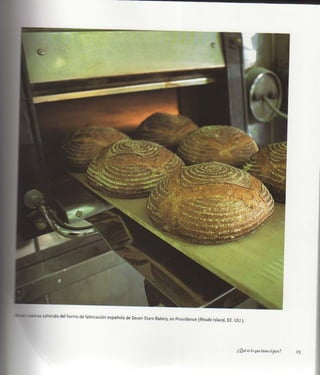 Aprendiz de panadero