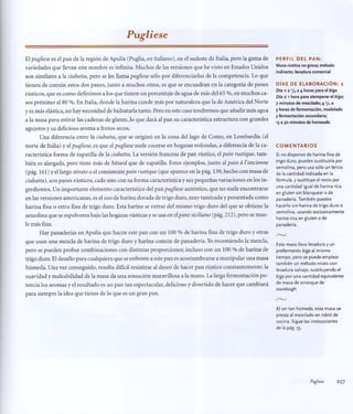 Aprendiz de panadero