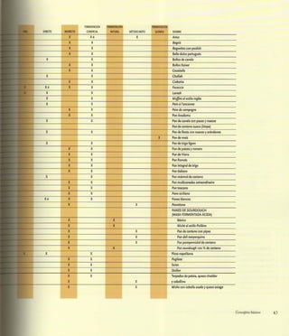 Aprendiz de panadero