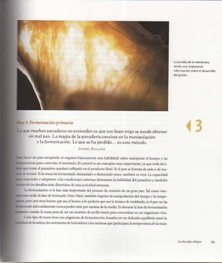 Aprendiz de panadero