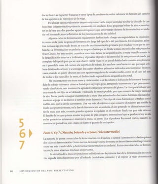 Aprendiz de panadero