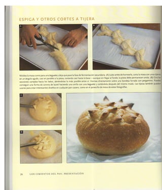 Aprendiz de panadero