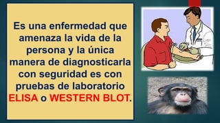 Es una enfermedad que
amenaza la vida de la
persona y la única
manera de diagnosticarla
con seguridad es con
pruebas de laboratorio
ELISA o WESTERN BLOT.
 