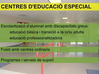 Escolarització d’alumnat amb discapacitats greus:
educació bàsica i transició a la vida adulta
educació professionalitzadora
Fusió amb centres ordinaris
CENTRES D'EDUCACIÓ ESPECIAL
Programes i serveis de suport
 