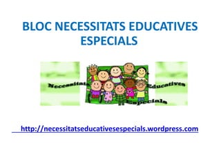 BLOC NECESSITATS EDUCATIVES 
ESPECIALS 
http://necessitatseducativesespecials.wordpress.com 
 
