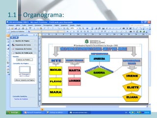 1.1 – Organograma: 