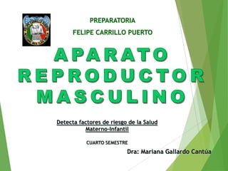 PREPARATORIA
FELIPE CARRILLO PUERTO

Detecta factores de riesgo de la Salud
Materno-Infantil
CUARTO SEMESTRE

Dra: Mariana Gallardo Cantúa

 