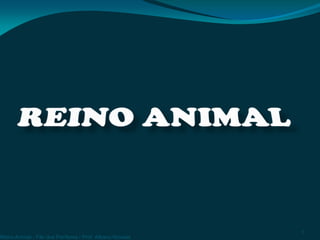 Reino Animal - Filo dos Poríferos / Prof. Albano Novaes
1
 