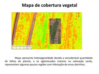 Mapa de cobertura vegetal
Mapa apresenta heterogeneidade devido a considerável quantidade
de falhas de plantio, e os aglomerados maiores na coloração verde,
representam algumas poucas regiões com infestação de ervas daninhas.
 