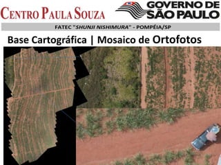 Base Cartográfica | Mosaico de Ortofotos
 