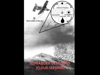 Semeadura de nuvens - Cloud Seeding - Dra. Maria Emilia Gadelha Serra