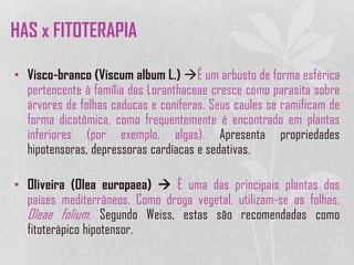 • Visco-branco (Viscum album L.) É um arbusto de forma esférica
pertencente à família das Loranthaceae cresce como parasita sobre
árvores de folhas caducas e coníferas. Seus caules se ramificam de
forma dicotômica, como frequentemente é encontrado em plantas
inferiores (por exemplo, algas). Apresenta propriedades
hipotensoras, depressoras cardíacas e sedativas.
• Oliveira (Olea europaea)  É uma das principais plantas dos
países mediterrâneos. Como droga vegetal, utilizam-se as folhas,
Oleae folium. Segundo Weiss, estas são recomendadas como
fitoterápico hipotensor.
HAS x FITOTERAPIA
 
