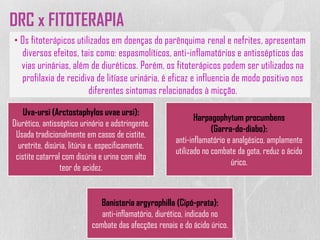 DRC x FITOTERAPIA
• Os fitoterápicos utilizados em doenças do parênquima renal e nefrites, apresentam
diversos efeitos, tais como: espasmolíticos, anti-inflamatórios e antissépticos das
vias urinárias, além de diuréticos. Porém, os fitoterápicos podem ser utilizados na
profilaxia de recidiva de litíase urinária, é eficaz e influencia de modo positivo nos
diferentes sintomas relacionados à micção.
Uva-ursi (Arctostaphylos uvae ursi):
Diurético, antisséptico urinário e adstringente.
Usada tradicionalmente em casos de cistite,
uretrite, disúria, litúria e, especificamente,
cistite catarral com disúria e urina com alto
teor de acidez.
Harpagophytum procumbens
(Garra-do-diabo):
anti-inflamatório e analgésico, amplamente
utilizado no combate da gota, reduz o ácido
úrico.
Banisteria argyrophilla (Cipó-prata):
anti-inflamatório, diurético, indicado no
combate das afecções renais e do ácido úrico.
 