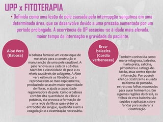 • Definida como uma lesão de pele causada pela interrupção sanguínea em uma
determinada área, que se desenvolve devido a uma pressão aumentada por um
período prolongado. A ocorrência de UP associou-se à idade mais elevada,
maior tempo de internação e gravidade do paciente.
UPP x FITOTERAPIA
A babosa fornece um vasto leque de
materiais para a construção e
manutenção de uma pele saudável. A
pele renova-se a cada 21 a 28 dias.
Mantém a elasticidade da pele e os
níveis saudáveis de colágeno. A Aloe
vera estimula os fibroblastos a
reproduzirem-se mais rapidamente,
produzindo-se assim maior quantidade
de fibras, e ajuda a capacidade
regeneradora da pele. Como a babosa
contém alta quantidade de cálcio e
potássio, ela provoca a formação de
uma rede de fibras que retém os
eritrócitos do sangue, ajudando assim a
coagulação e a cicatrização necessária.
Aloe Vera
(Babosa) Também conhecida como
maria-milagrosa, baleeira,
maria-preta, salicina,
pimenteira e catinga-de-
barão, atua contra tipo de
inflamação. Por possuir
efeitos cicatrizante é usada
na forma de pomada,
extrato ou folhas maceradas
para curar ferimentos. Em
algumas regiões do Brasil, as
folhas da erva-baleeira são
cozidas e aplicadas sobre
feridas para acelerar a
cicatrização.
Erva-
baleeira
(Cordia
verbenacea)
 