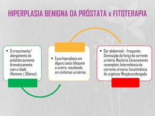 HIPERPLASIA BENIGNA DA PRÓSTATA x FITOTERAPIA
• O crescimento/
alargamento da
próstata aumenta
dramaticamente
com a idade
(Homens > 50anos);
• Essa hiperplasia em
alguns casos bloqueia
a uretra, resultando
em sintomas urinários;
• Dor abdominal – frequente;
Diminuição da força da corrente
urinária; Noctúria; Esvaziamento
incompleto; Intermitência da
corrente urinaria; Incontinência
de urgência; Micção prolongada.
 