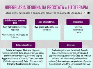 HIPERPLASIA BENIGNA DA PRÓSTATA x FITOTERAPIA
Fitoterápicos, nutrientes e compostos bioativos comumente utilizados  HBP
Saw Palmetto (Serenoa
repens)
* Envolvidas na inflamação da
Próstata.
Inibidores das enzimas
COX
Diversos
Batata selvagem Africana (Hypoxis
hemerocallidea); Beta-sitosterol; Licopeno;
Semente de abóbora (Cucurbita pepo);
Pygeum (Prunus africana); Trevo vermelho
(Trifolium pratense); Soja (Glycine max);
Stinging Root (dioica do Urtica).
Antiproliferativos
Selênio
Vitamina E
Zinco
Rye grass pollen (Secale
cereale)
Anti-inflamatórios Nutrientes
Buchu (Agathosma betulina); Arando
(Vaccinium macrocarpon); Fireweed
(Epilobium angustifolium); Óleo de linhaça
(Linum usitatissimum); Alho (Allium
sativum); Cacto de pera espinhosa (Opuntia
ficus-indica); Uva-Ursi (Arctostaphylos uva-
ursi)
 
