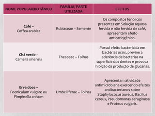 NOME POPULAR/BOTÂNICO
FAMÍLIA/ PARTE
UTILIZADA
EFEITOS
Café –
Coffea arabica
Rubiaceae – Semente
Os compostos fenólicos
presentes em Solução aquosa
fervida e não fervida de café,
apresentam efeito
anticariogênico.
Chá verde –
Camelia sinensis
Theaceae – Folhas
Possui efeito bactericida em
bactérias orais, previne a
aderência de bactérias na
superfície dos dentes e provoca
inibição da produção de glucanas.
Erva doce –
Foeniculum vulgare ou
Pimpinella anisum
Umbelliferae – Folhas
Apresentam atividade
antimicrobiana exercendo efeitos
antibacterianos sobre
Staphylococus aureus, Bacillus
cereus, Pseudomonas aeruginosa
e Proteus vulgaris.
 
