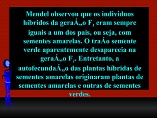 Mendel observou que os indivíduos híbridos da geração F 1  eram sempre iguais a um dos pais, ou seja, com sementes amarelas. O traço semente verde aparentemente desaparecia na geração F 1 . Entretanto, a autofecundação das plantas híbridas de sementes amarelas originaram plantas de sementes amarelas e outras de sementes verdes. 