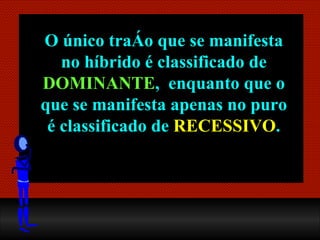 O único traço que se manifesta no híbrido é classificado de  DOMINANTE ,  enquanto que o que se manifesta apenas no puro é classificado de  RECESSIVO . 