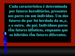 Cada característica é determinada por  fatores hereditários , presentes aos pares em um indivíduo. Um dos fatores do par foi herdado da mãe, e o outro,  do pai. Indivíduos puros têm fatores idênticos, enquanto que os híbridos têm fatores diferentes. 