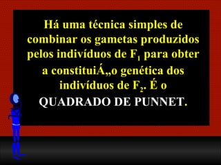 Há uma técnica simples de combinar os gametas produzidos pelos indivíduos de F 1  para obter a constituição genética dos indivíduos de F 2 . É o  QUADRADO DE PUNNET . 