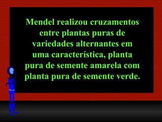 Mendel realizou cruzamentos entre plantas puras de variedades alternantes em uma característica, planta pura de semente amarela com planta pura de semente   verde. 
