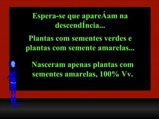 Nasceram apenas plantas com sementes amarelas, 100% Vv. Espera-se que apareçam na descendência... Plantas com sementes verdes e plantas com semente amarelas... 