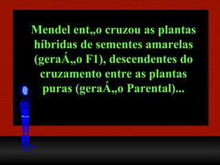 Mendel então cruzou as plantas híbridas de sementes amarelas (geração F1), descendentes do cruzamento entre as plantas puras (geração Parental)... 