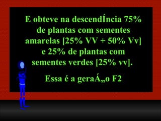 E obteve na descendência 75% de plantas com sementes amarelas [25% VV + 50% Vv] e 25% de plantas com sementes verdes [25% vv].  Essa é a geração F2 