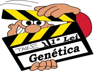 Genética 1ª Lei 