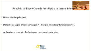 Princípio do Duplo Grau de Jurisdição e os demais Princípios:
• Hierarquia dos princípios.
• Principio do duplo grau de jurisdição X Principio celeridade/duração razoável.
• Aplicação do principio do duplo grau e os demais princípios.
 