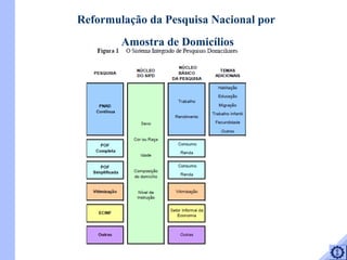 Reformulação da Pesquisa Nacional por  Amostra de Domicílios 