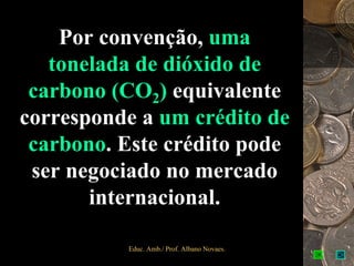 Por convenção, uma
   tonelada de dióxido de
 carbono (CO2) equivalente
corresponde a um crédito de
 carbono. Este crédito pode
 ser negociado no mercado
       internacional.

          Educ. Amb./ Prof. Albano Novaes.   3
 