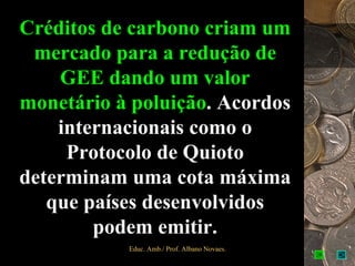 Créditos de carbono criam um
 mercado para a redução de
    GEE dando um valor
monetário à poluição. Acordos
    internacionais como o
     Protocolo de Quioto
determinam uma cota máxima
   que países desenvolvidos
        podem emitir.
           Educ. Amb./ Prof. Albano Novaes.   5
 