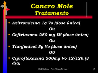 Azitromicina 1g Vo (dose única) Ou Ceftriaxona 250 mg IM (dose única) Ou Tianfenicol 5g Vo (dose única) OU Ciprofloxacina 500mg Vo 12/12h (3 dia) Cancro Mole Tratamento 