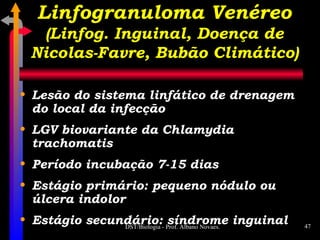 Linfogranuloma Venéreo (Linfog. Inguinal, Doença de Nicolas-Favre, Bubão Climático) Lesão do sistema linfático de drenagem do local da infecção LGV biovariante da Chlamydia trachomatis Período incubação 7-15 dias Estágio primário: pequeno nódulo ou úlcera indolor Estágio secundário: síndrome inguinal 