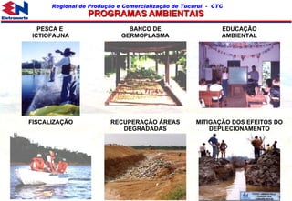 PESCA E  ICTIOFAUNA BANCO DE GERMOPLASMA EDUCAÇÃO AMBIENTAL FISCALIZAÇÃO RECUPERAÇÃO ÁREAS DEGRADADAS MITIGAÇÃO DOS EFEITOS DO DEPLECIONAMENTO PROGRAMAS AMBIENTAIS 