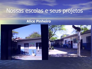 Nossas escolas e seus projetos Alice Pinheiro