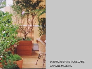 JABUTICABEIRA E MODELO DE  CAIXA DE MADEIRA 