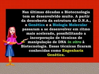 Nas últimas décadas a Biotecnologia
 tem se desenvolvido muito. A partir
da descoberta da estrutura do D.N.A.,
  a Genética e a Biologia Molecular
passaram a se desenvolver em ritmo
   mais acelerado, possibilitando a
     incorporação de técnicas de
   manipulação de DNA in vitro à
Biotecnologia. Essas técnicas ficaram
    conhecidas como Engenharia
              Genética.
 