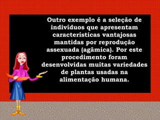 Outro exemplo é a seleção de
   indivíduos que apresentam
    características vantajosas
    mantidas por reprodução
 assexuada (agâmica). Por este
       procedimento foram
desenvolvidas muitas variedades
      de plantas usadas na
      alimentação humana.
 