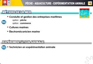 Conduite et gestion des entreprises maritimes
option : pêche
option : commerce
 Cultures marines
 Électromécanicien marine
 Technicien en expérimentation animale
 
