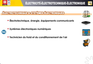  Électrotechnique, énergie, équipements communicants
 Systèmes électroniques numériques
 Technicien du froid et du conditionnement de l’air
 