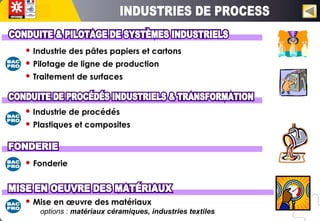  Industrie des pâtes papiers et cartons
 Pilotage de ligne de production
 Traitement de surfaces
 Industrie de procédés
 Plastiques et composites
 Fonderie
 Mise en œuvre des matériaux
options : matériaux céramiques, industries textiles
 