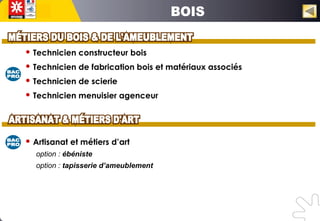 Technicien constructeur bois
 Technicien de fabrication bois et matériaux associés
 Technicien de scierie
 Technicien menuisier agenceur
 Artisanat et métiers d’art
option : ébéniste
option : tapisserie d’ameublement
 