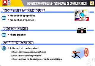  Production graphique
 Production imprimée
 Photographie
 Artisanat et métiers d’art
option : communication graphique
option : marchandisage visuel
option : métiers de l’enseigne et de la signalétique
 