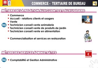 Commerce
 Accueil - relations clients et usagers
 Vente
 Technicien conseil vente animalerie
 Technicien conseil vente de produits de jardin
 Technicien conseil vente en alimentation
 Commercialisation et services en restauration
 Comptabilité et Gestion Administrative
€
 