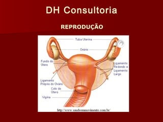 DH Consultoria 
REPRODUÇÃO 
 