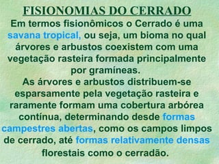 FISIONOMIAS DO CERRADO
Em termos fisionômicos o Cerrado é uma
savana tropical, ou seja, um bioma no qual
árvores e arbustos coexistem com uma
vegetação rasteira formada principalmente
por gramíneas.
As árvores e arbustos distribuem-se
esparsamente pela vegetação rasteira e
raramente formam uma cobertura arbórea
contínua, determinando desde formas
campestres abertas, como os campos limpos
de cerrado, até formas relativamente densas
florestais como o cerradão.
 